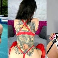 Harliequinnx photo