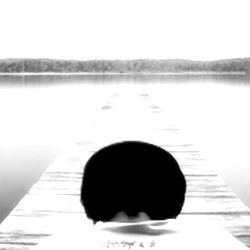 Portuguese hairy guy photo