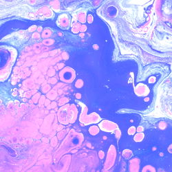 Mollychan - Top Model's Exclusive OnlyFans