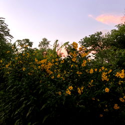 Explore the Exclusive World of Baddie with a bong on OnlyFans