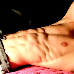 abdominator photo