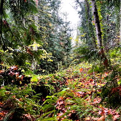 Greg McKeon - Model Page