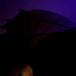 2️⃣2️⃣2️⃣🍯 photo