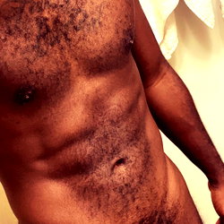 StrokieTheBull photo