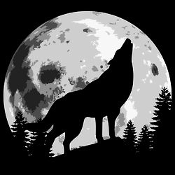 AskariJabari’s OnlyFans Profile - A True Sensation in Tampa