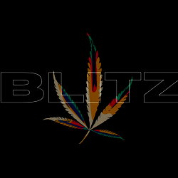 💋BLITZ💨 photo