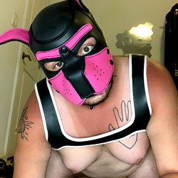 Pup Buzz photo