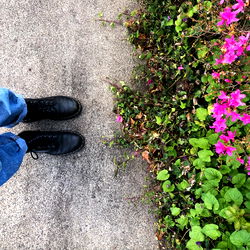 Explore the Alluring World of Kirby | The Model from Down Under