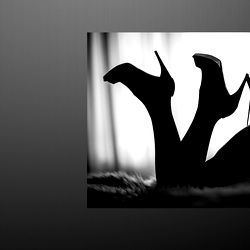 Cocoa's OnlyFans Catalogue