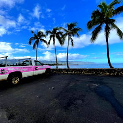 Aloha Surf Girls photo