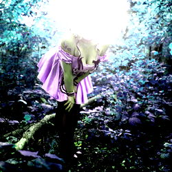 Alice inWonder photo