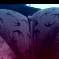 Alex - Top OnlyFan Profile