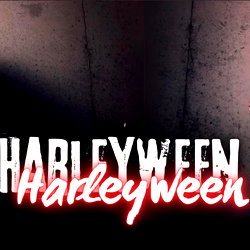 Harley 🌹 Curve Main photo