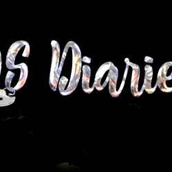 DS Diaries photo