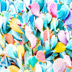 Down to mars girl. photo