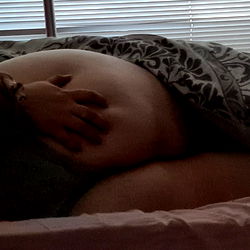 Princess Rose 🌹 photo