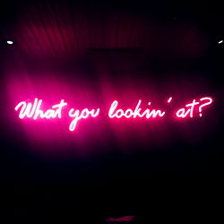 Francisco Vlogs photo