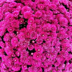 Kacey💗 - Passionate & Creative Bikini OnlyFans