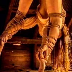 Princess Violette - The Perfect Princess