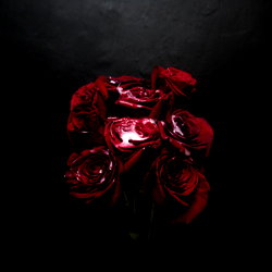 SANTO photo