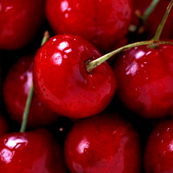 Syd Cherries 🍒 photo