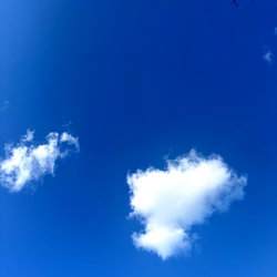 🩷 𝑆𝐴𝑅𝐴𝐻 𝐾𝐸𝑁𝐿𝐸𝑌 🩷 photo