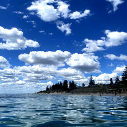 u92658725 photo