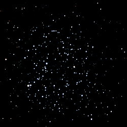 Andromeda Persephone photo