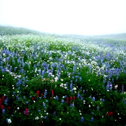 Achayra's OnlyFans Catalogue Review