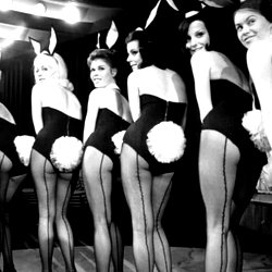 Your.Dumb.Bunny photo