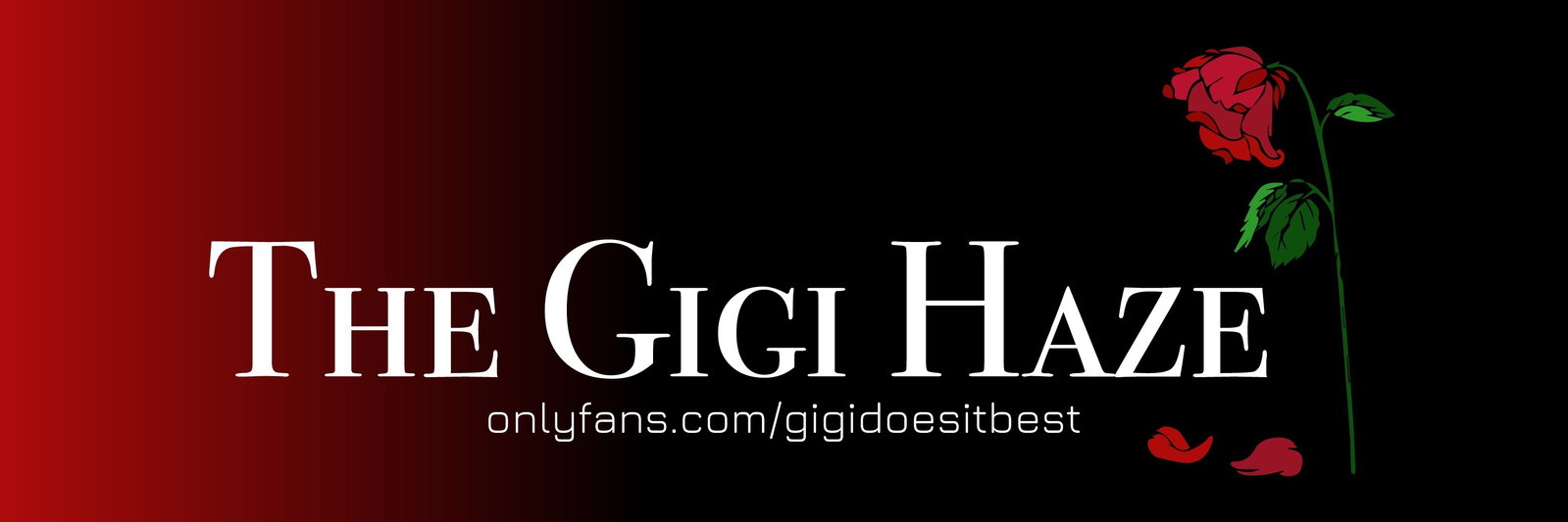 ✨Gigi Haze Free✨ photo