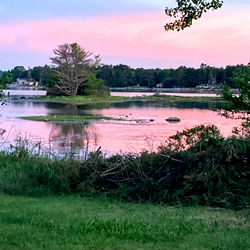 Explore the Enchanting World of Ellie Handygirl - The Fitness Queen