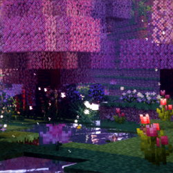 ˚₊‧꒰ა 𓂋 ໒꒱ ‧₊˚ photo