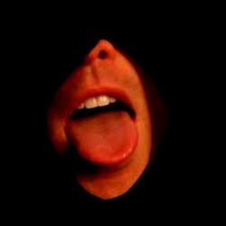 Gloryholefun1 - The Sensual Seductress in Texas