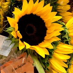 Anistasia Verel: Free OnlyFans with 0$ Subscription