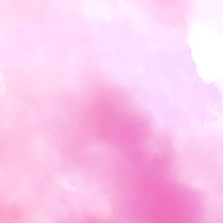 💗 Bubblegum 💗 photo