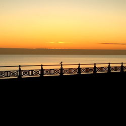 SweetCinnamonBun - Unforgettable UK Bimbo on OnlyFans