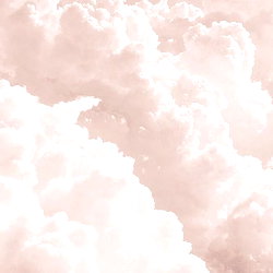 Lilac photo