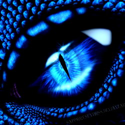 Jasmine Seiffert photo