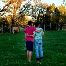 the wild farm cub 🐻 photo