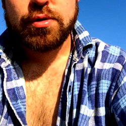 the wild farm cub 🐻 photo