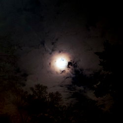 Aluvher photo
