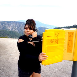 🔮 C a t 🐺 photo