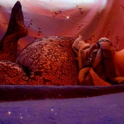 RadiantRed-SweetVixen photo