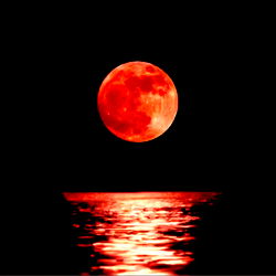 Explore the Enchanting Beauty of Nena on OnlyFans