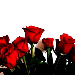 A - The Ultimate Fashionista on OnlyFans