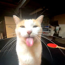 Joy Mei - The Sensual Swimsuit Queen on OnlyFans