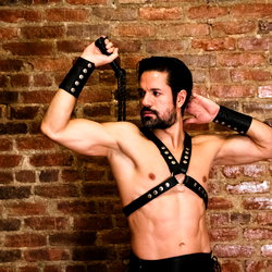 Dominus Eros photo