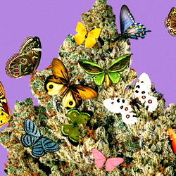 Baked Potathoe photo