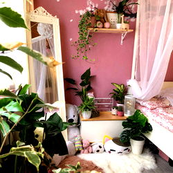 ♡Feya Fern♡ - Your Ultimate OnlyFans Experience